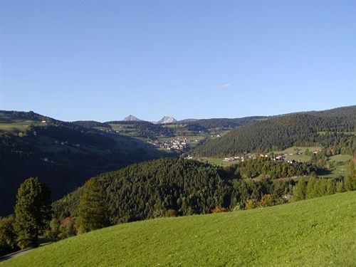 Zum Lowen - Al Leone
